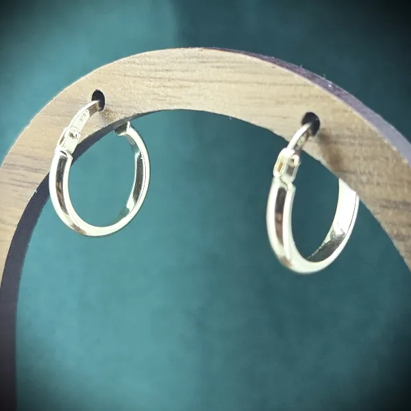9ct Yellow Gold Polished Hoop Earrings - 13mm