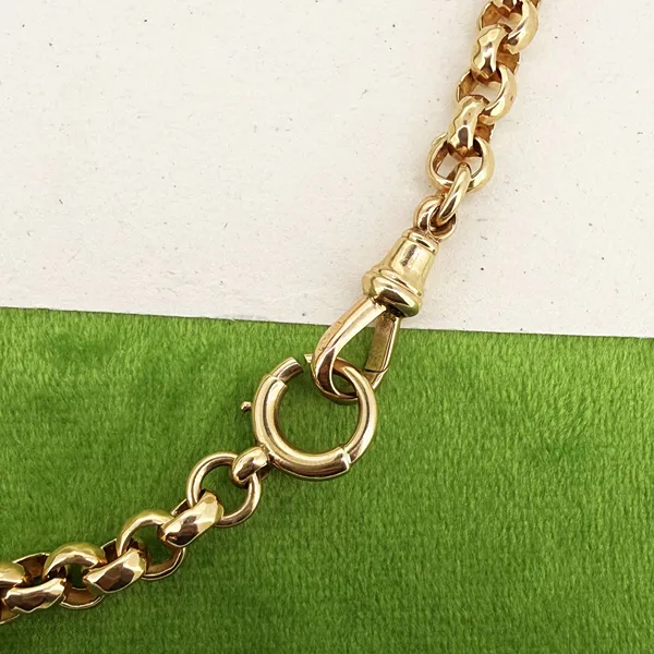 Antique 9ct Gold Fancy Belcher Albert Chain — image 7